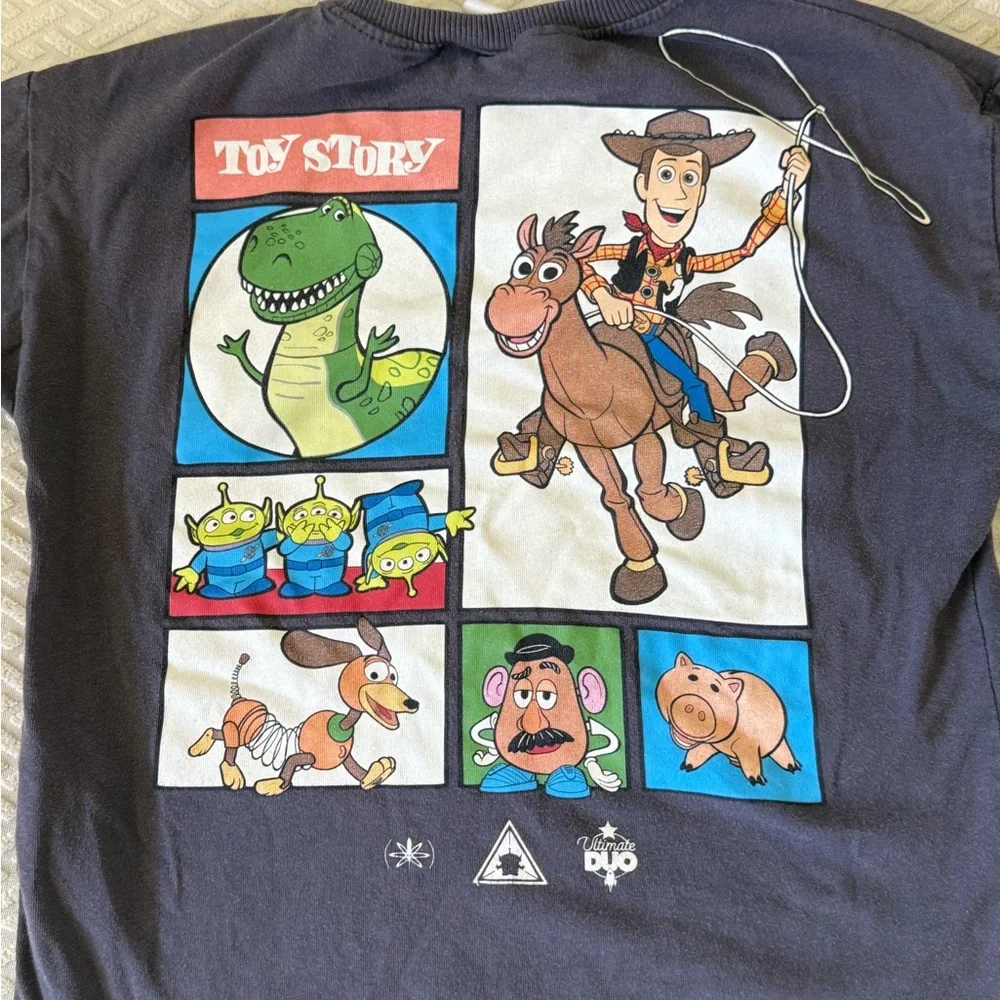 Disney Zara Bundle 4T